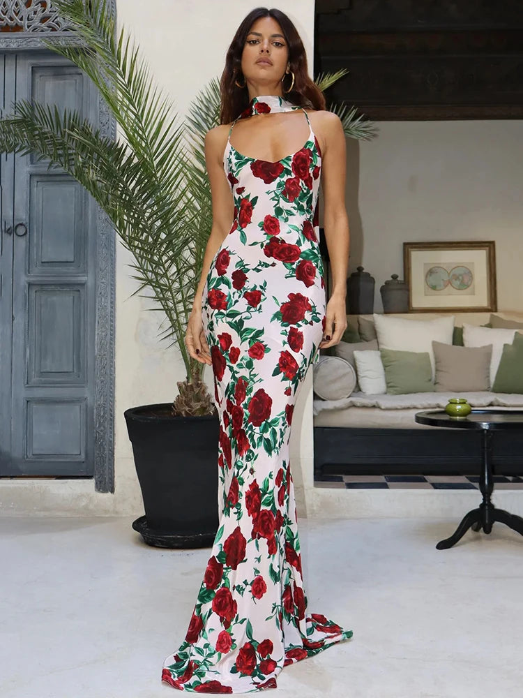 Flamenco Bloom